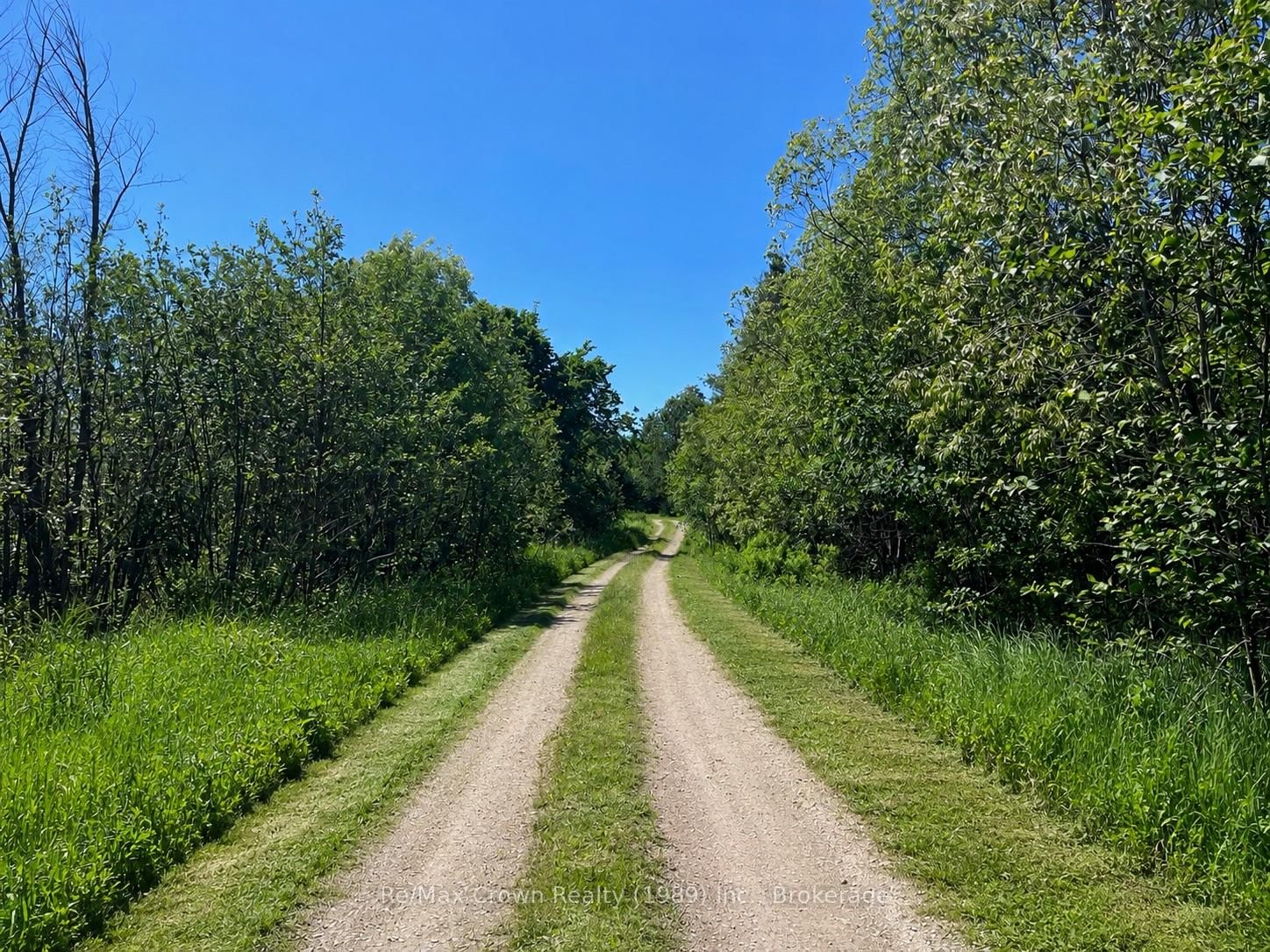 5 20th Side Road • Parry Sound Remote Area, ON photo 6