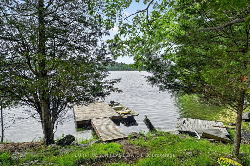 8 Birch Island photo 5