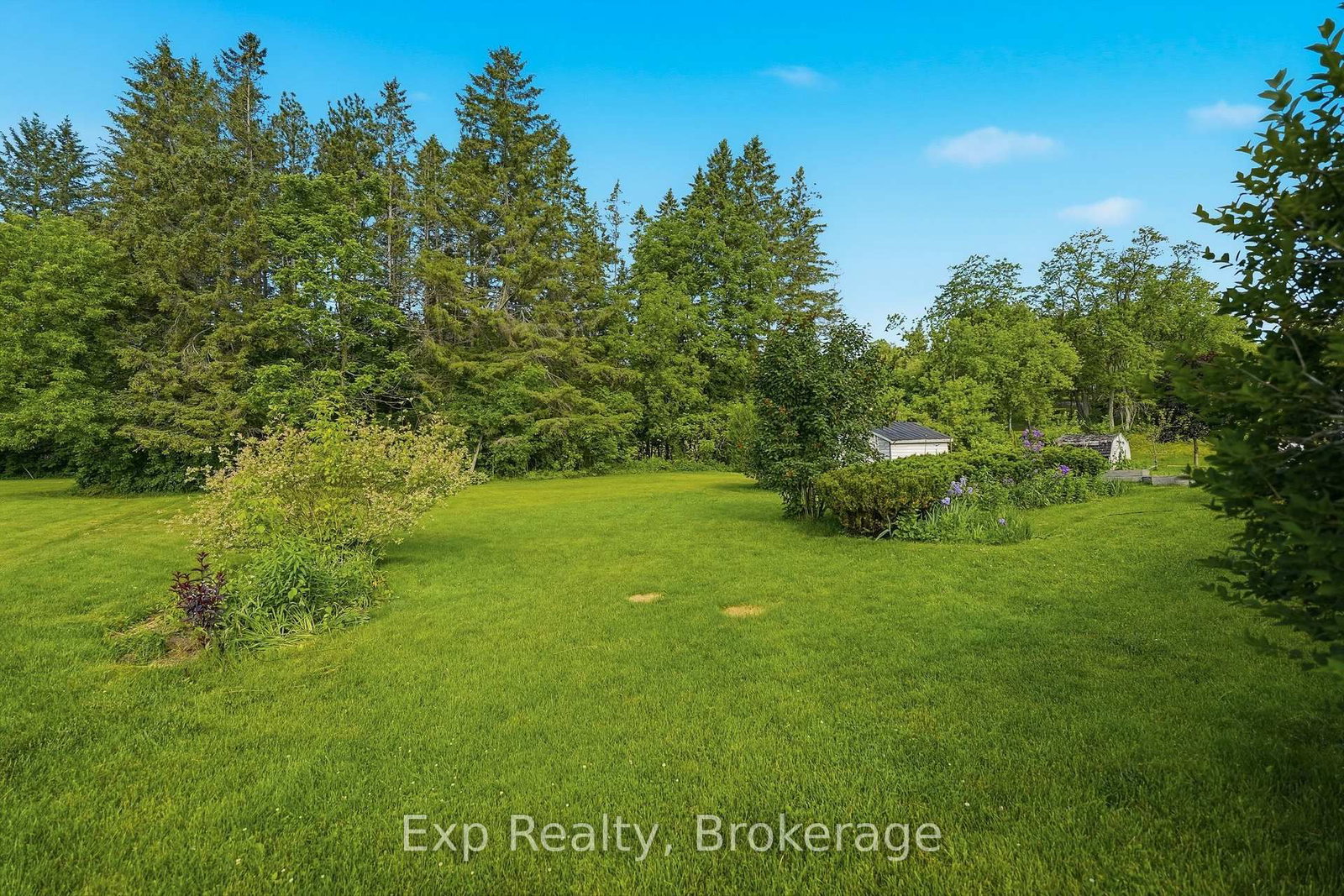 34 South Park Street • Hastings, ON photo 35