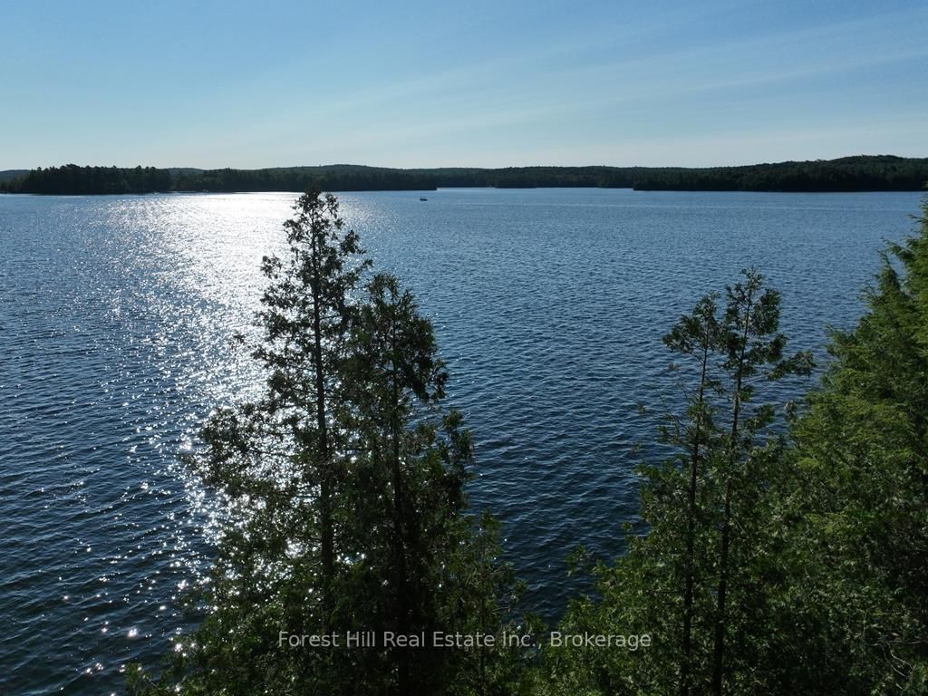 10689 Kawagama Lake WAO • Algonquin Highlands, ON photo 6