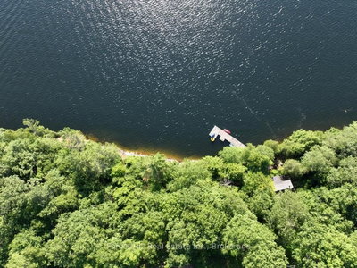 10689 Kawagama Lake WAO — more photos