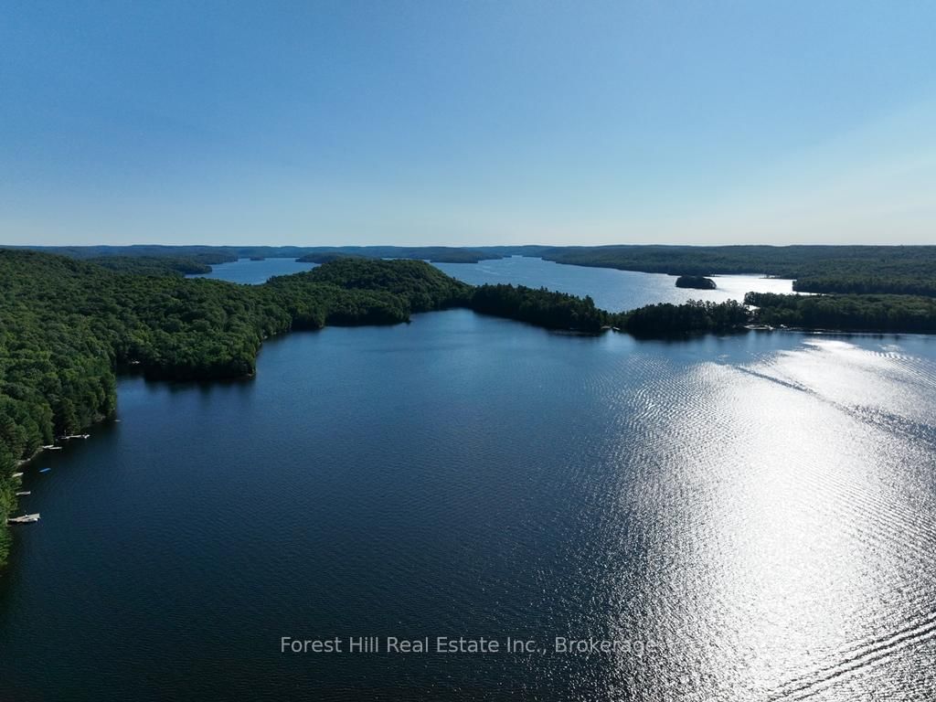 10689 Kawagama Lake WAO • Algonquin Highlands, ON photo 8
