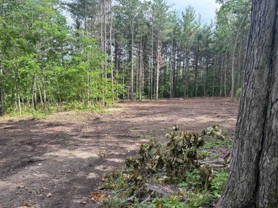 PT Lt 11 Con 7 Ranchers Road • Kawartha Lakes, ON photo 4