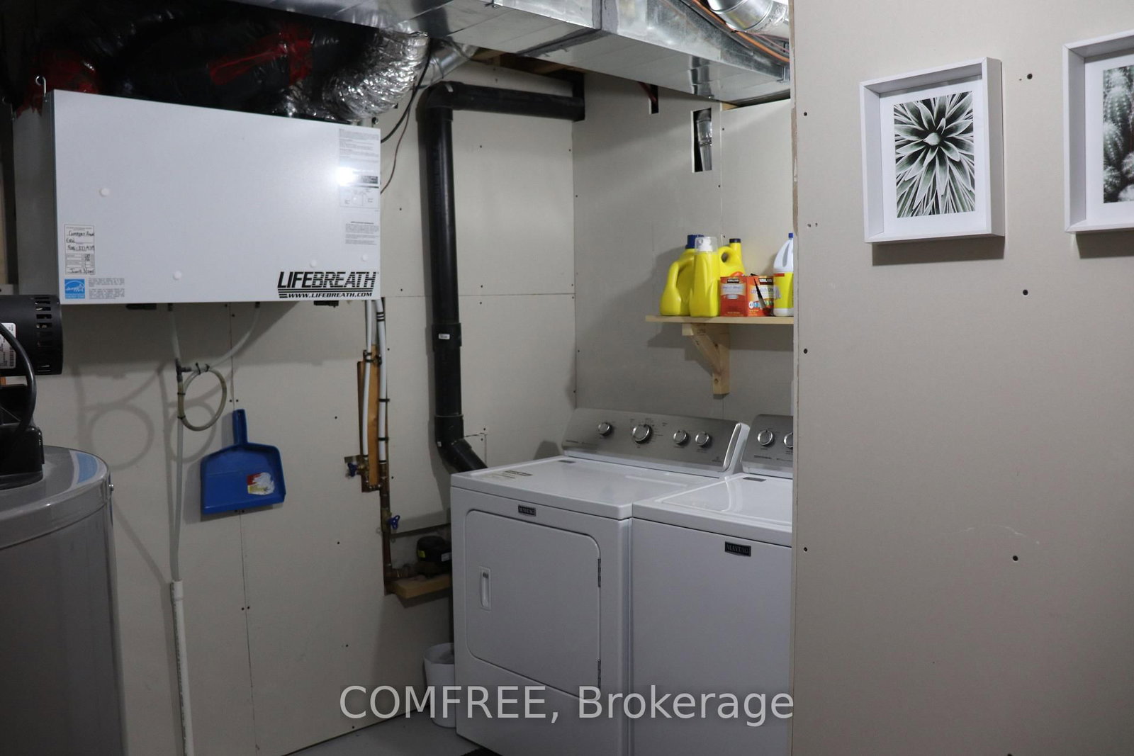 805 Lees Avenue • Cobourg, ON photo 40