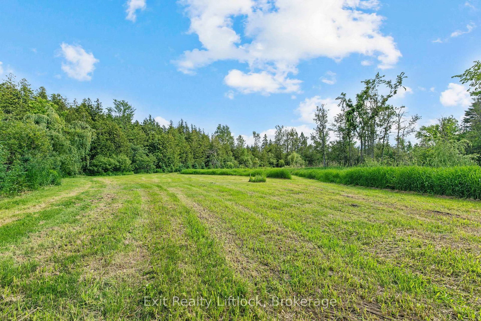 2917 Highway 28 • Douro-Dummer, ON photo 31