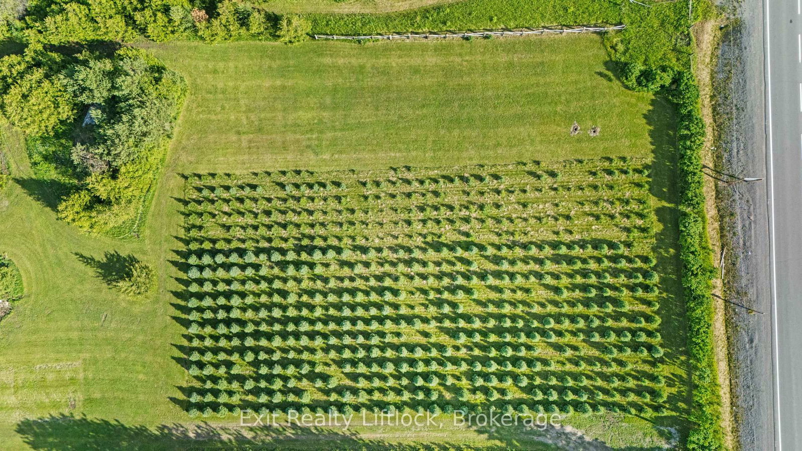 2917 Highway 28 • Douro-Dummer, ON photo 39
