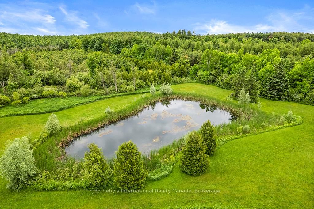 429573 8TH CONCESSION B Line • Grey Highlands, ON photo 49