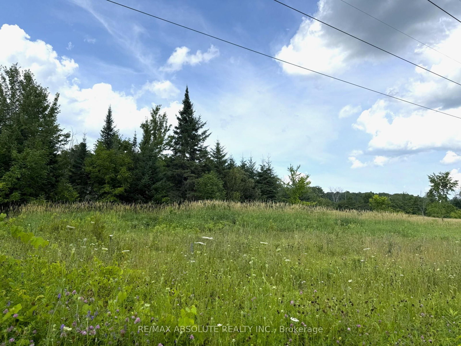 702 Part 13 Flat Rapids Road • Arnprior, ON photo 4