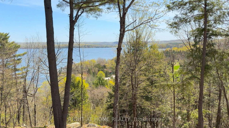 202 - 13 Tree Tops Lane