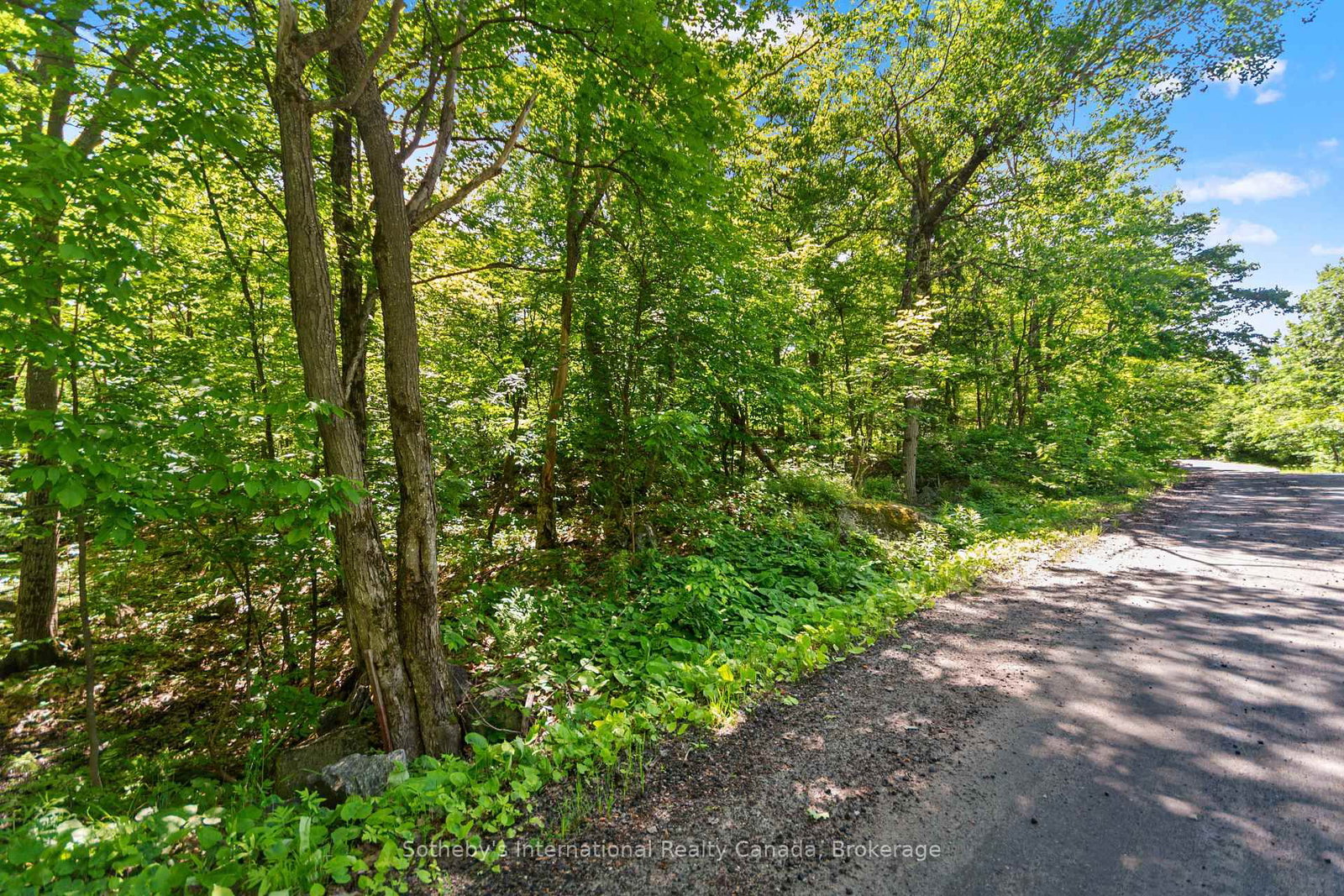 43 Burnside Bridge Road • McDougall, ON photo 10