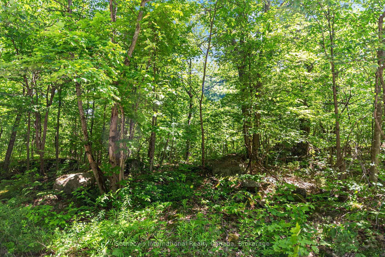 43 Burnside Bridge Road • McDougall, ON photo 6