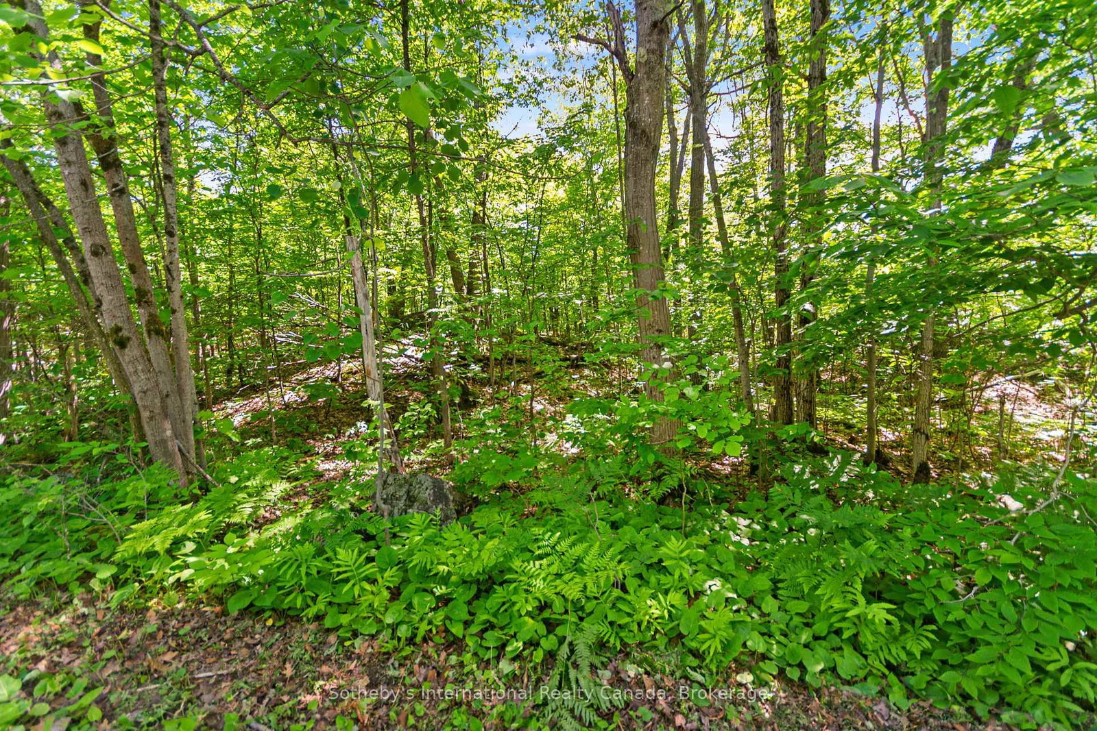 43 Burnside Bridge Road • McDougall, ON photo 8