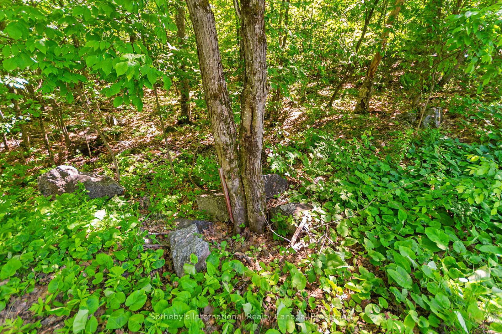 43 Burnside Bridge Road • McDougall, ON photo 9