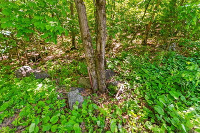 43 Burnside Bridge Road • McDougall, ON photo 9