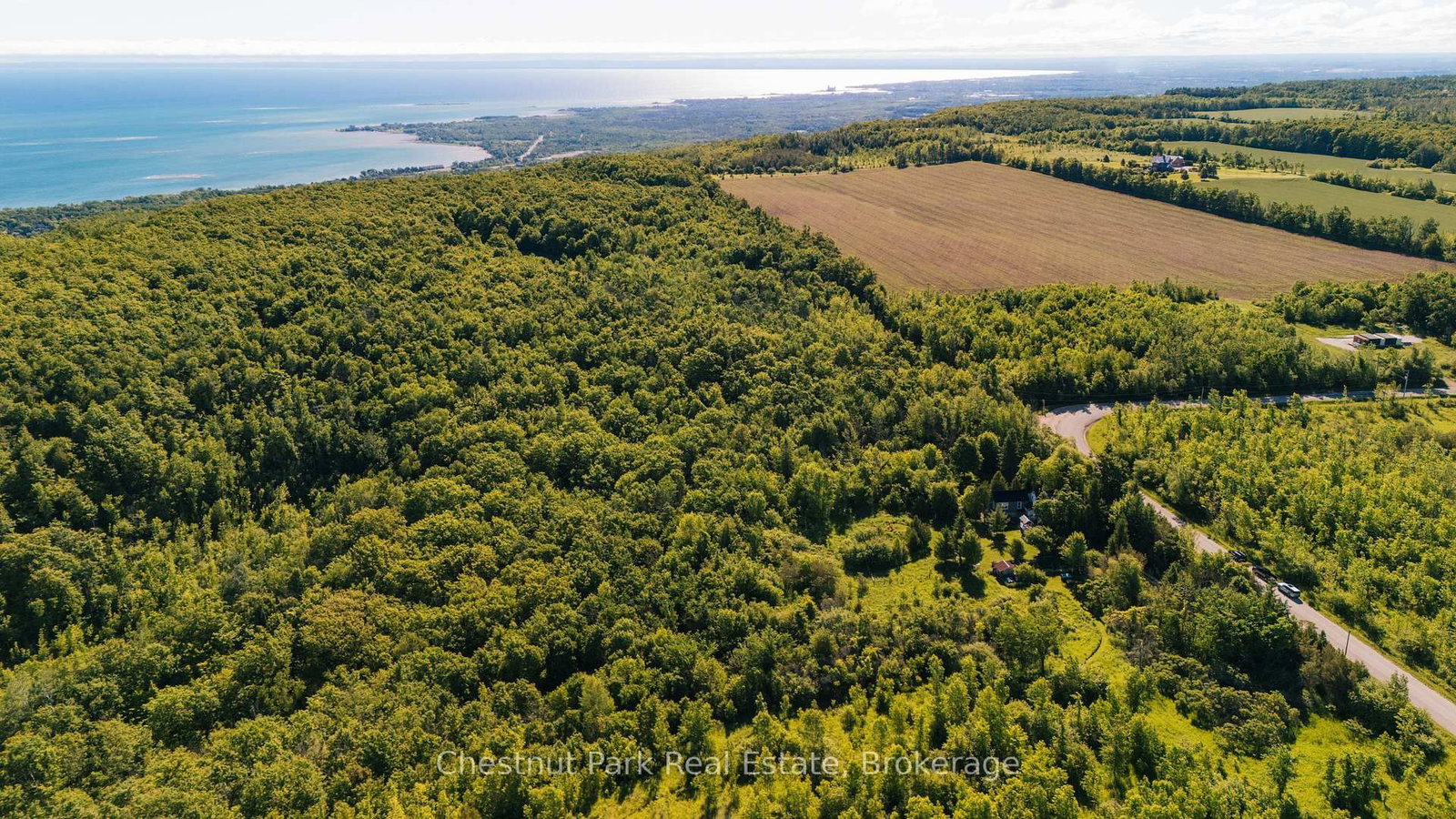 729297 21st Side Road • Blue Mountains, ON photo 46