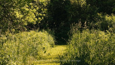 729297 21st Side Road • Blue Mountains, ON photo 5