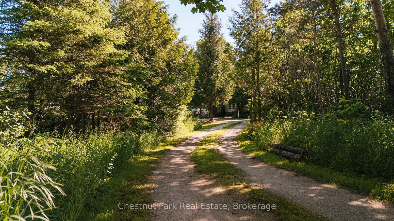 729297 21st Side Road • Blue Mountains, ON photo 6