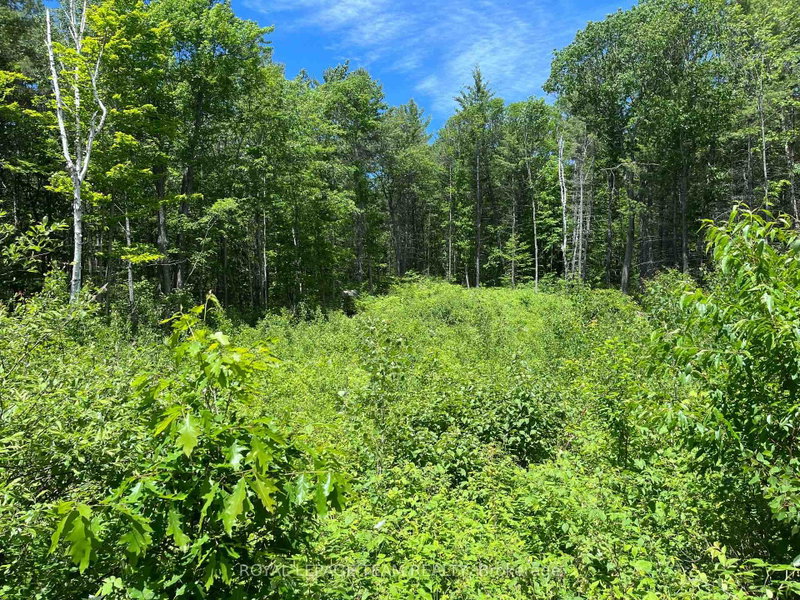 695 Long Lake Road