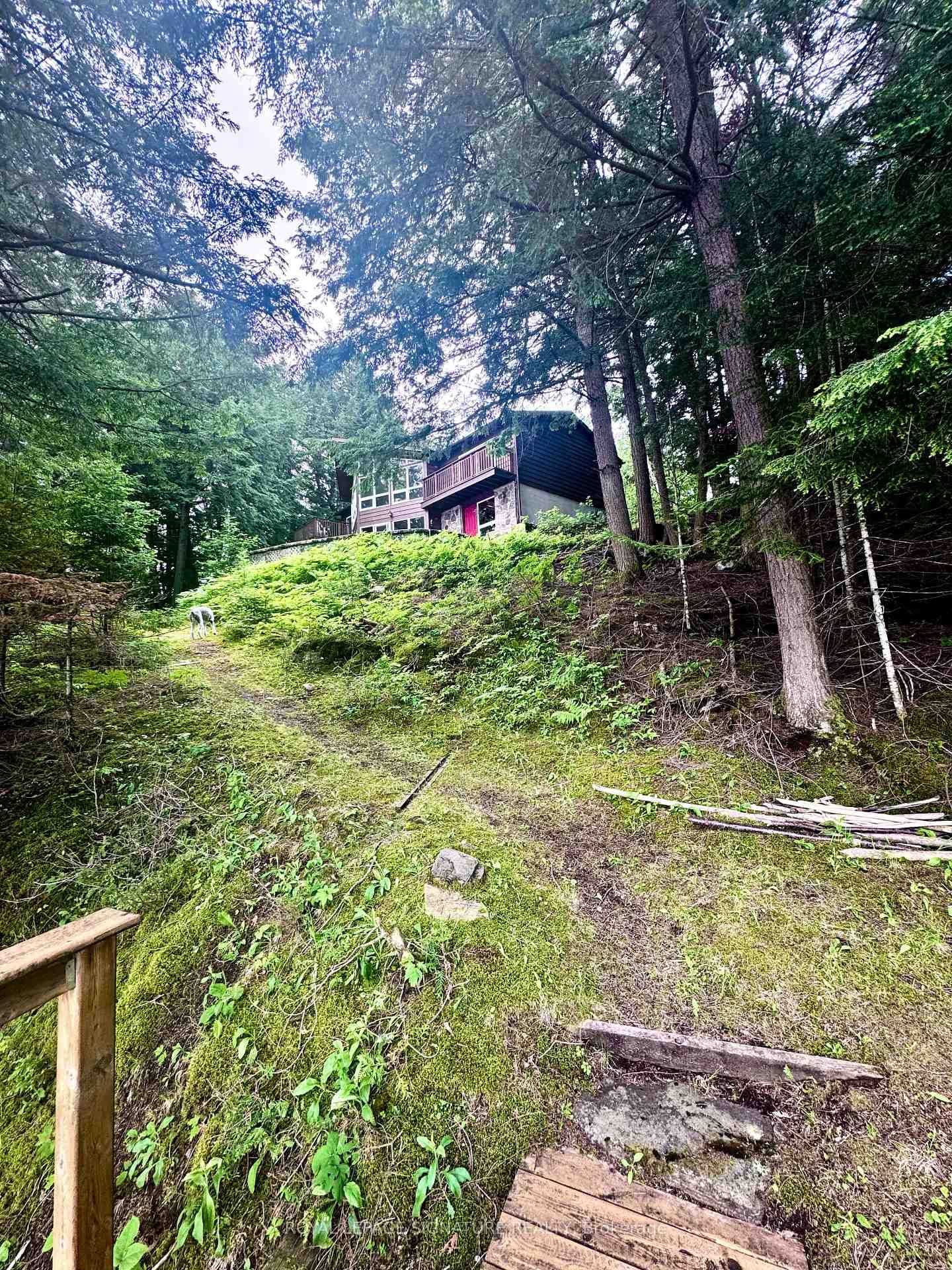 1295 Beaverdam Trail • Minden Hills, ON photo 29