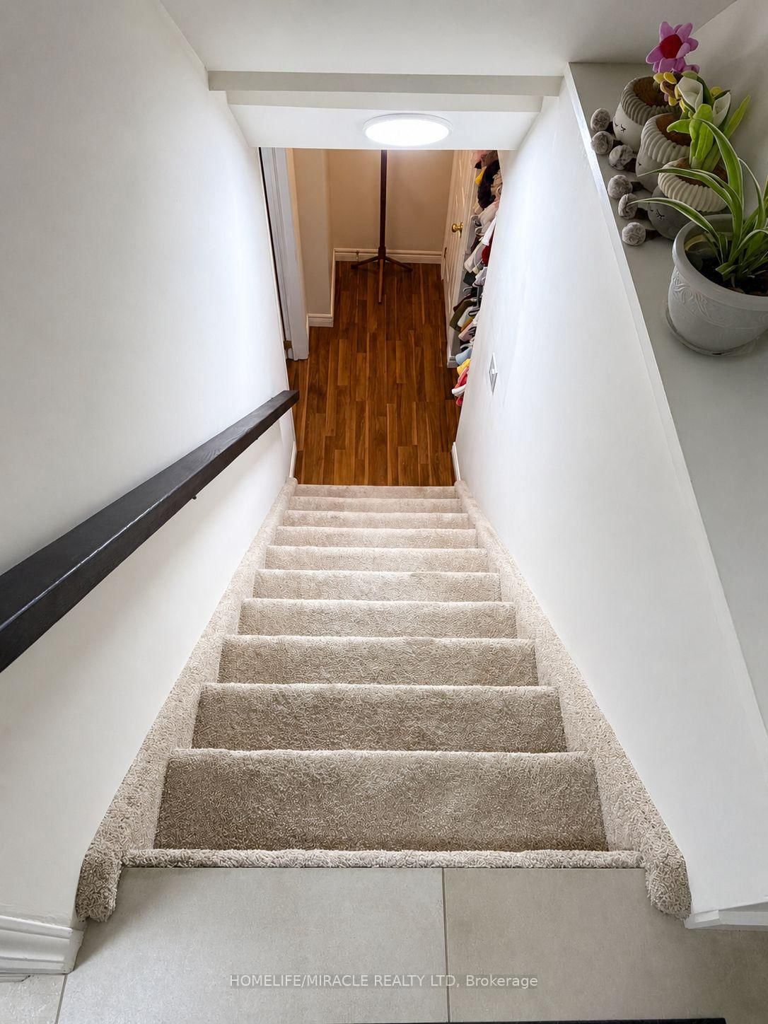 11 Reistview Street • Kitchener, ON photo 14
