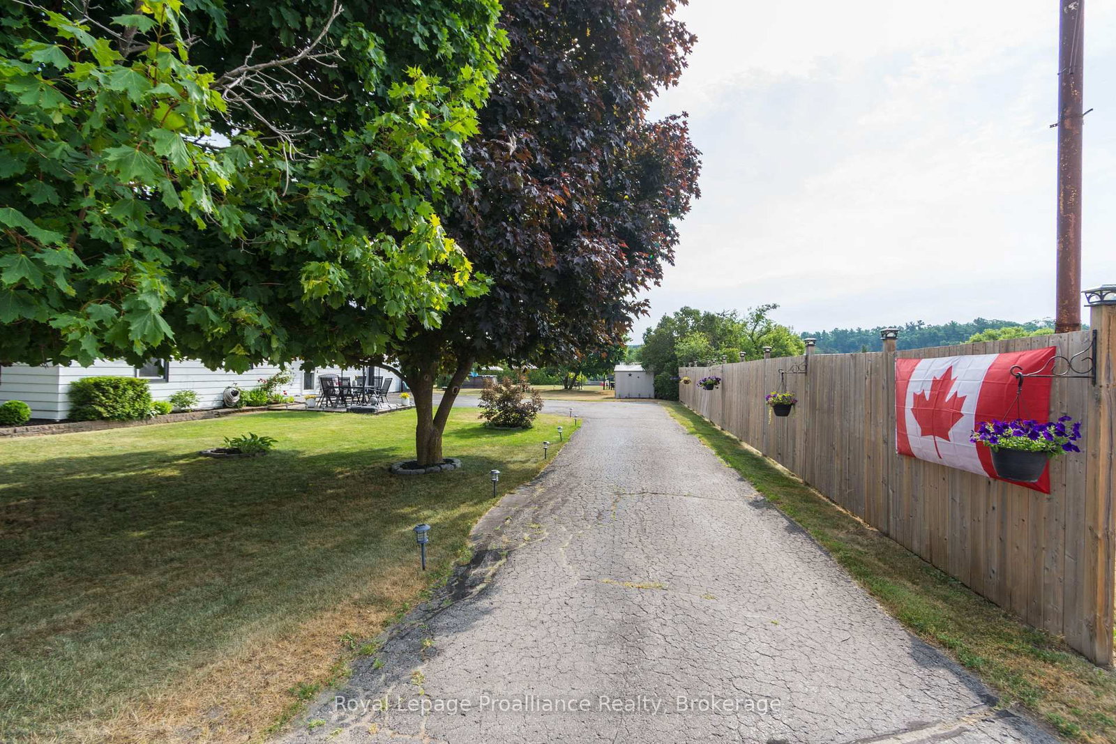 113 South Trent Street • Hastings, ON photo 4