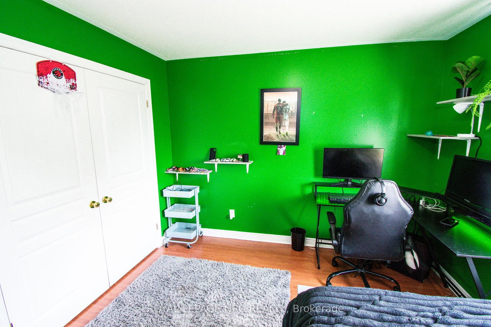 15 Arlene Street • St. Catharines, ON photo 28