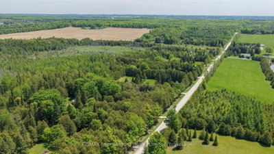 354515 Osprey Artemesia Rr 4 Road • Grey Highlands, ON photo 2
