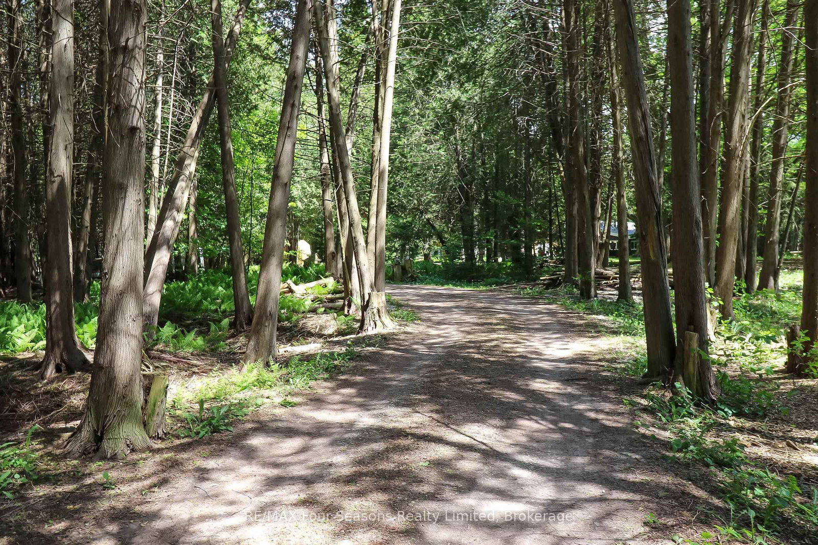 354515 Osprey Artemesia Rr 4 Road • Grey Highlands, ON photo 23