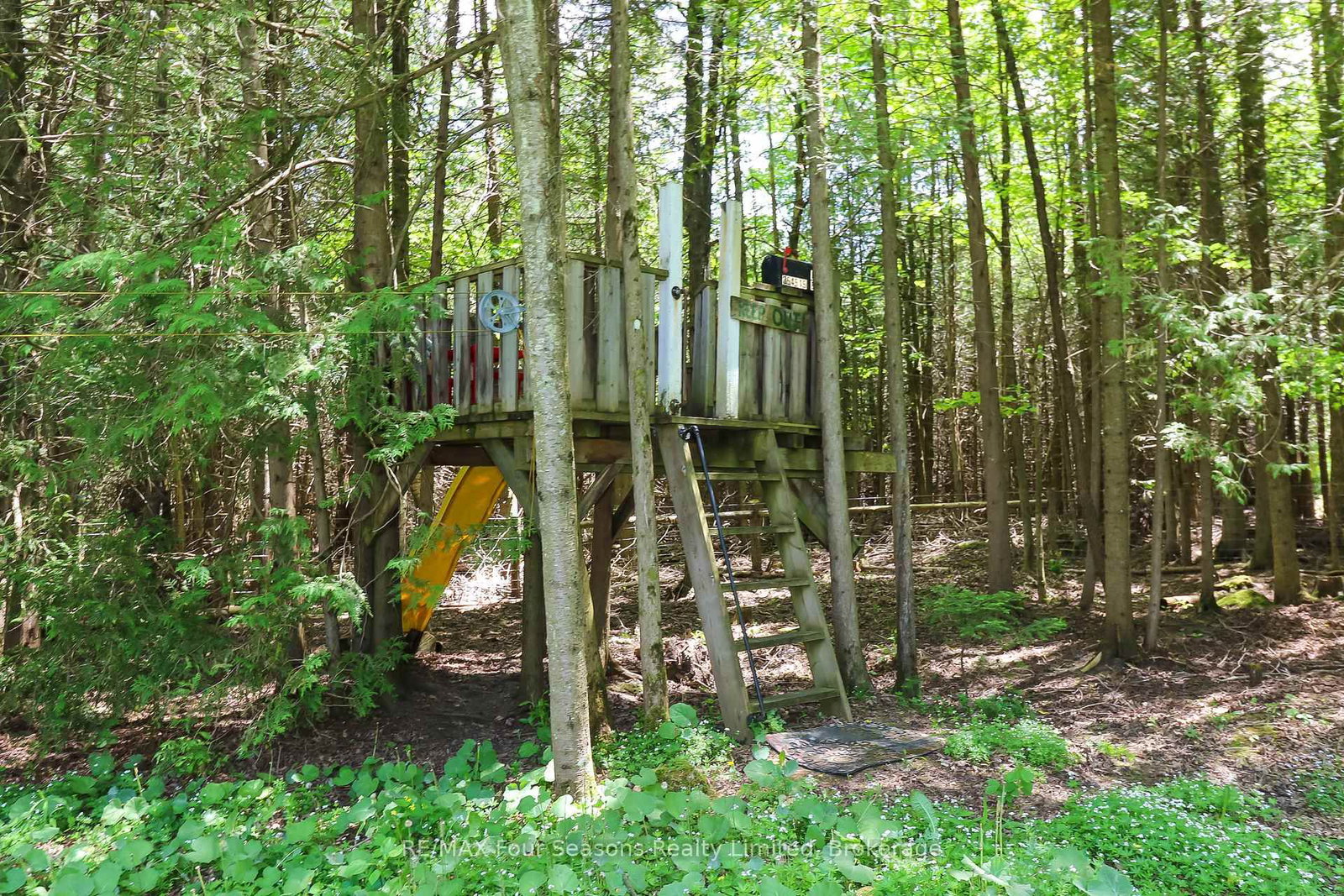 354515 Osprey Artemesia Rr 4 Road • Grey Highlands, ON photo 27