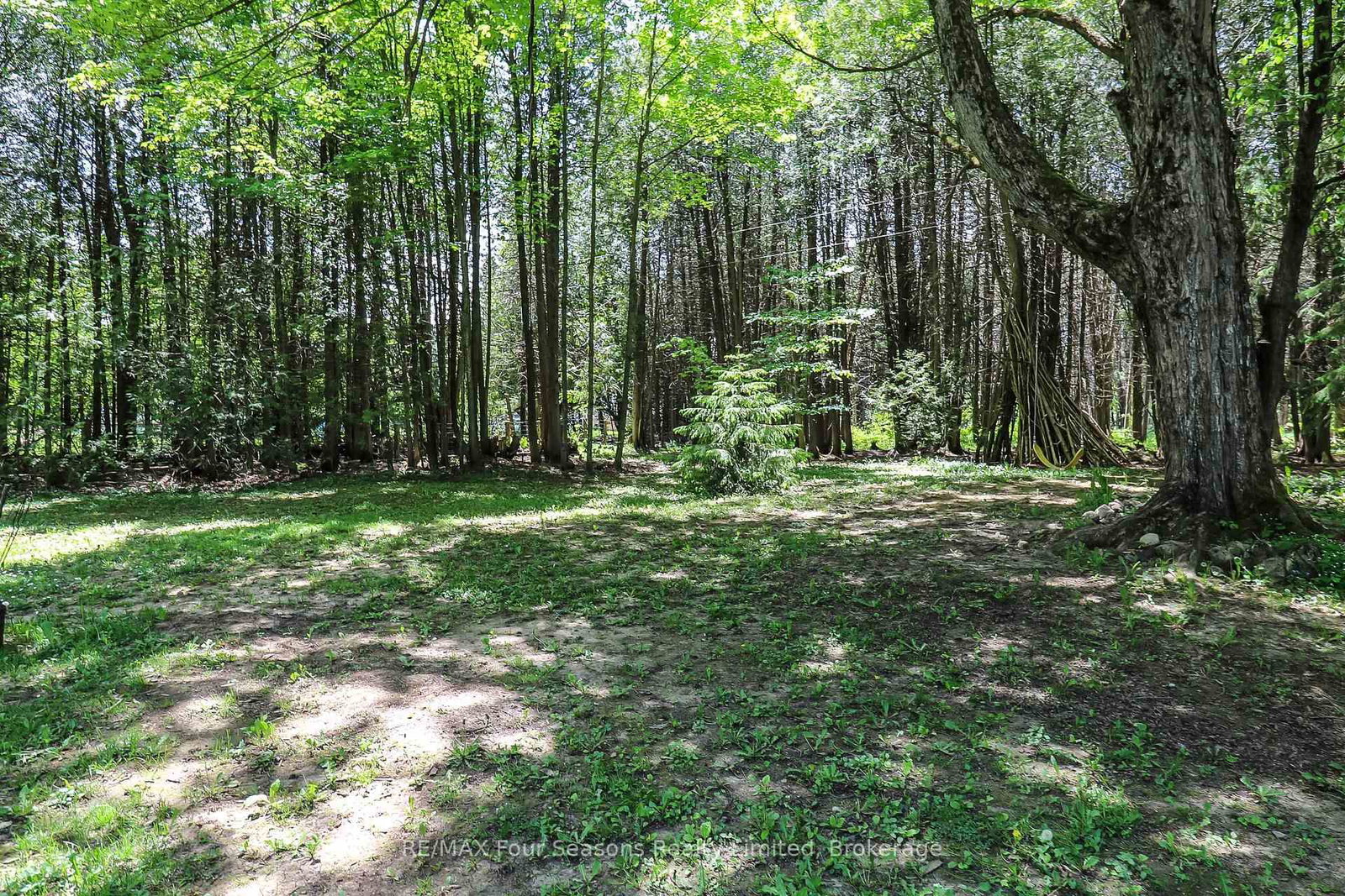 354515 Osprey Artemesia Rr 4 Road • Grey Highlands, ON photo 29