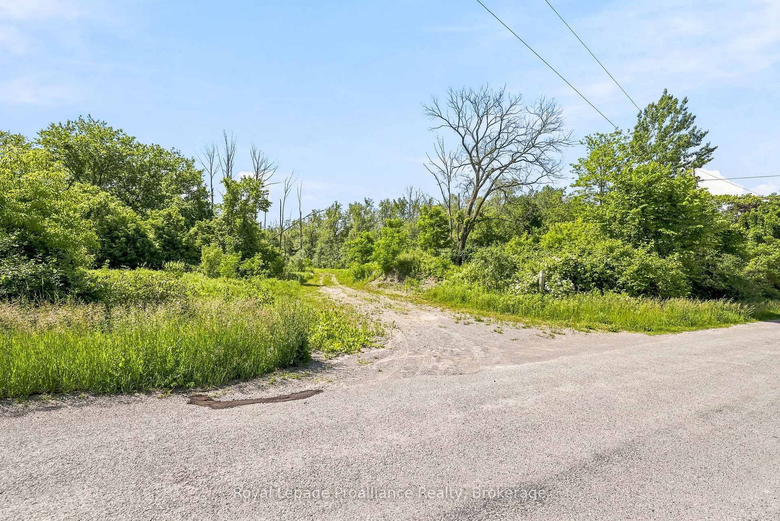 00 Bickle Hill Road • Hamilton Township, ON photo 13