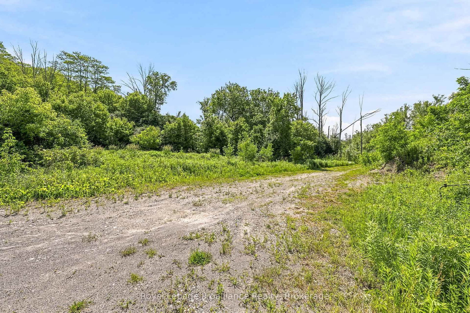 00 Bickle Hill Road • Hamilton Township, ON photo 15