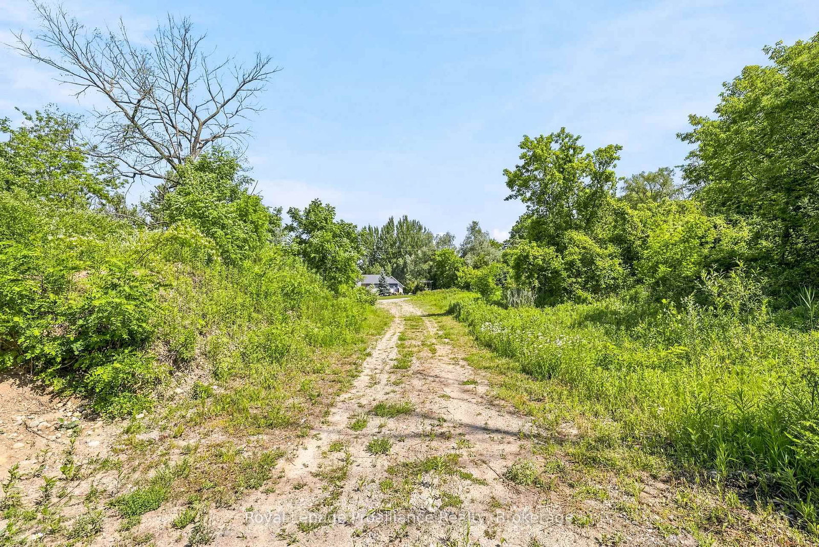 00 Bickle Hill Road • Hamilton Township, ON photo 16