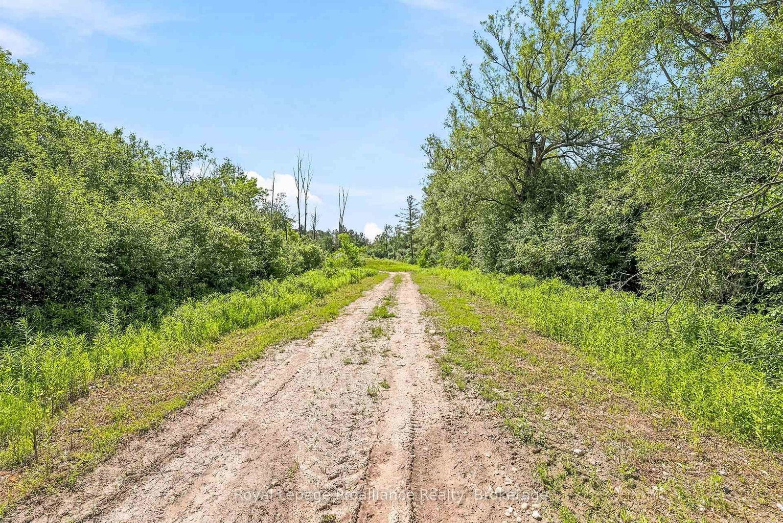 00 Bickle Hill Road • Hamilton Township, ON photo 18