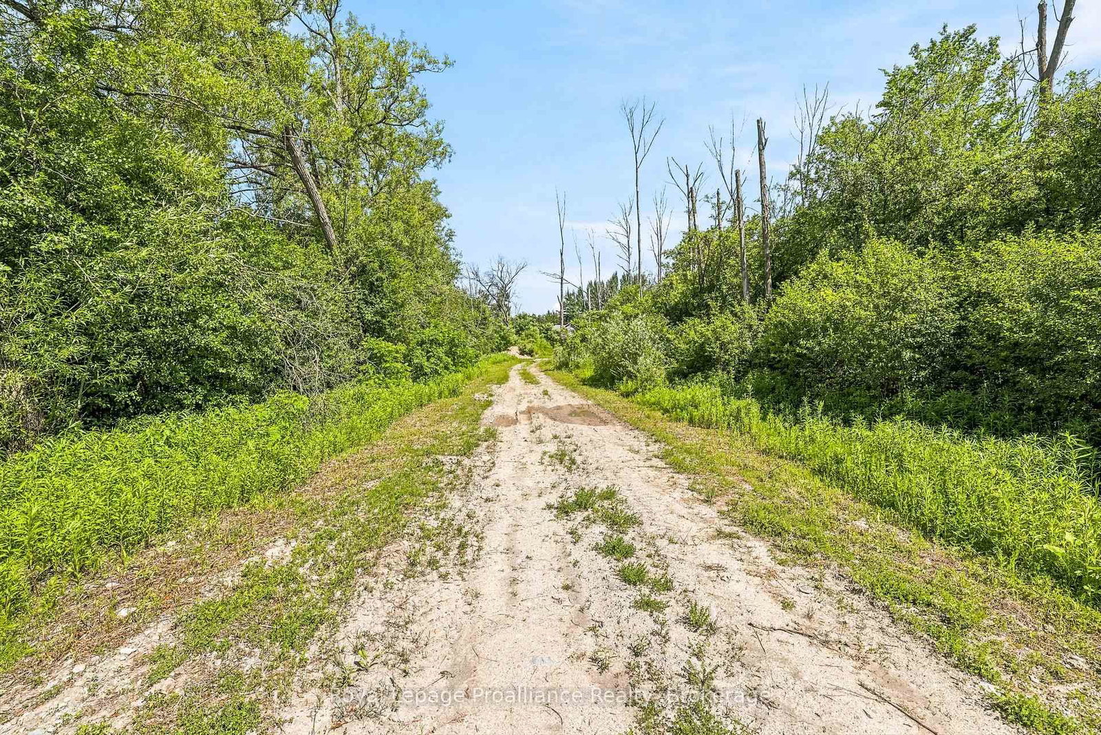 00 Bickle Hill Road • Hamilton Township, ON photo 19