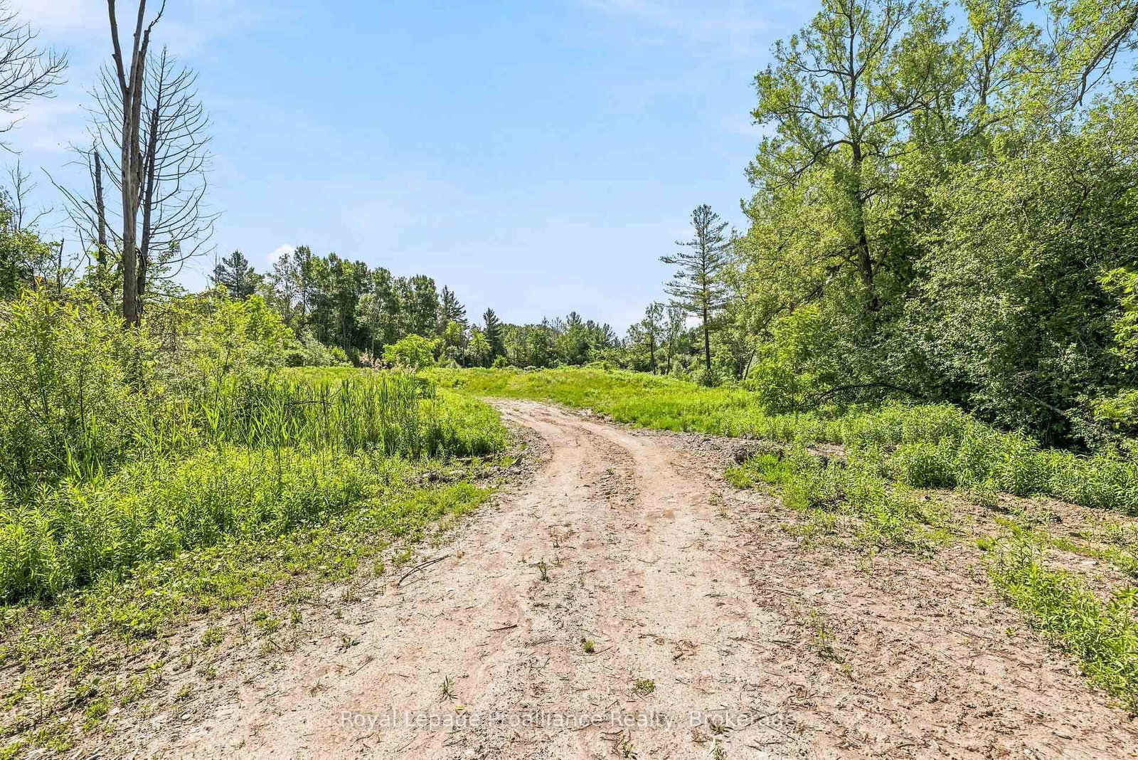 00 Bickle Hill Road • Hamilton Township, ON photo 20
