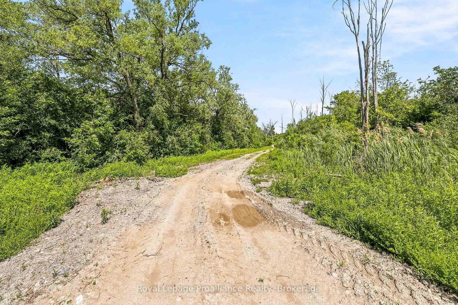 00 Bickle Hill Road • Hamilton Township, ON photo 22