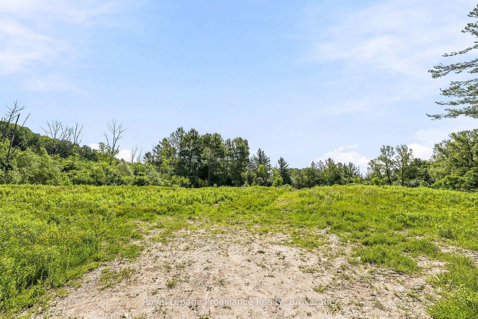00 Bickle Hill Road • Hamilton Township, ON photo 23