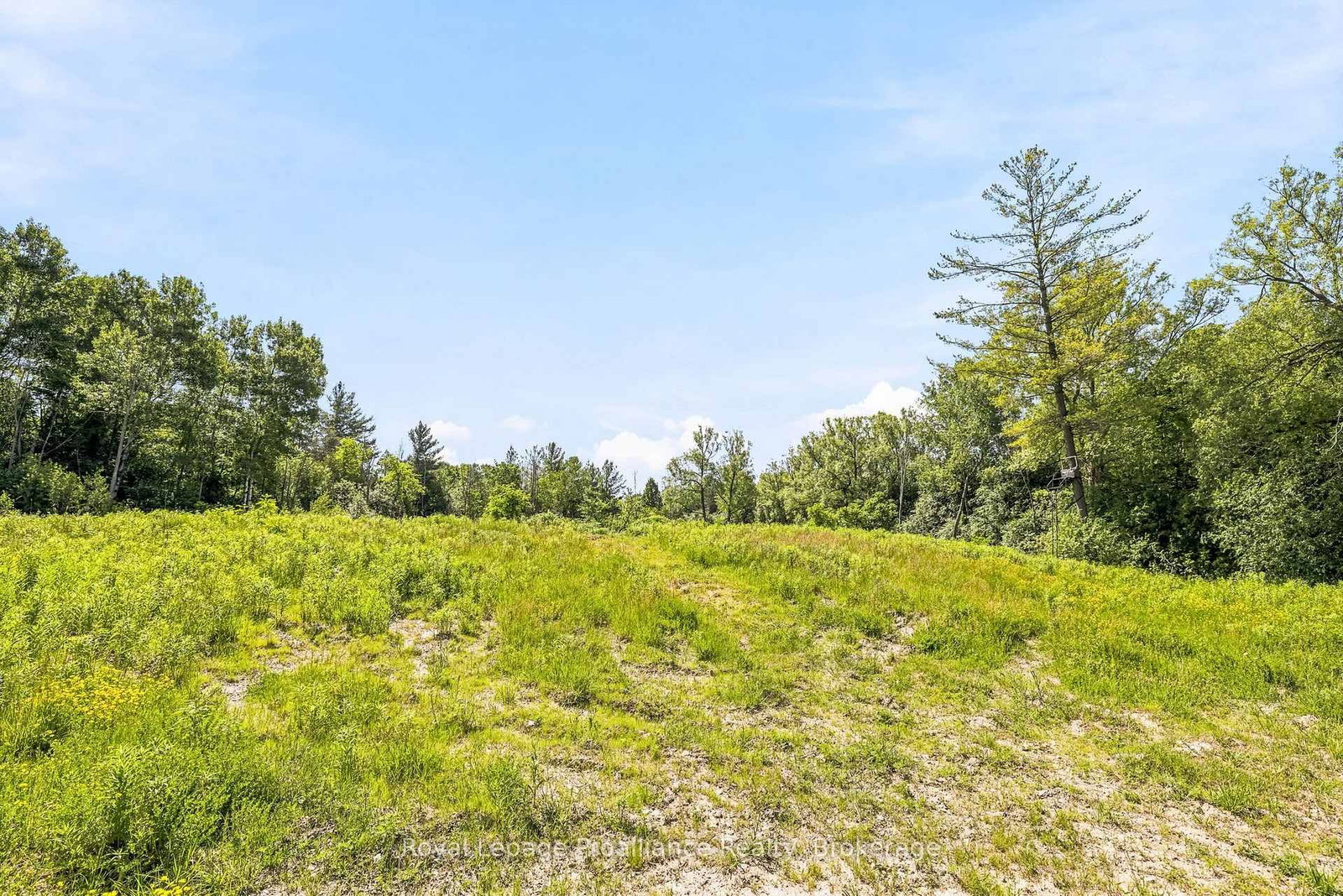 00 Bickle Hill Road • Hamilton Township, ON photo 28