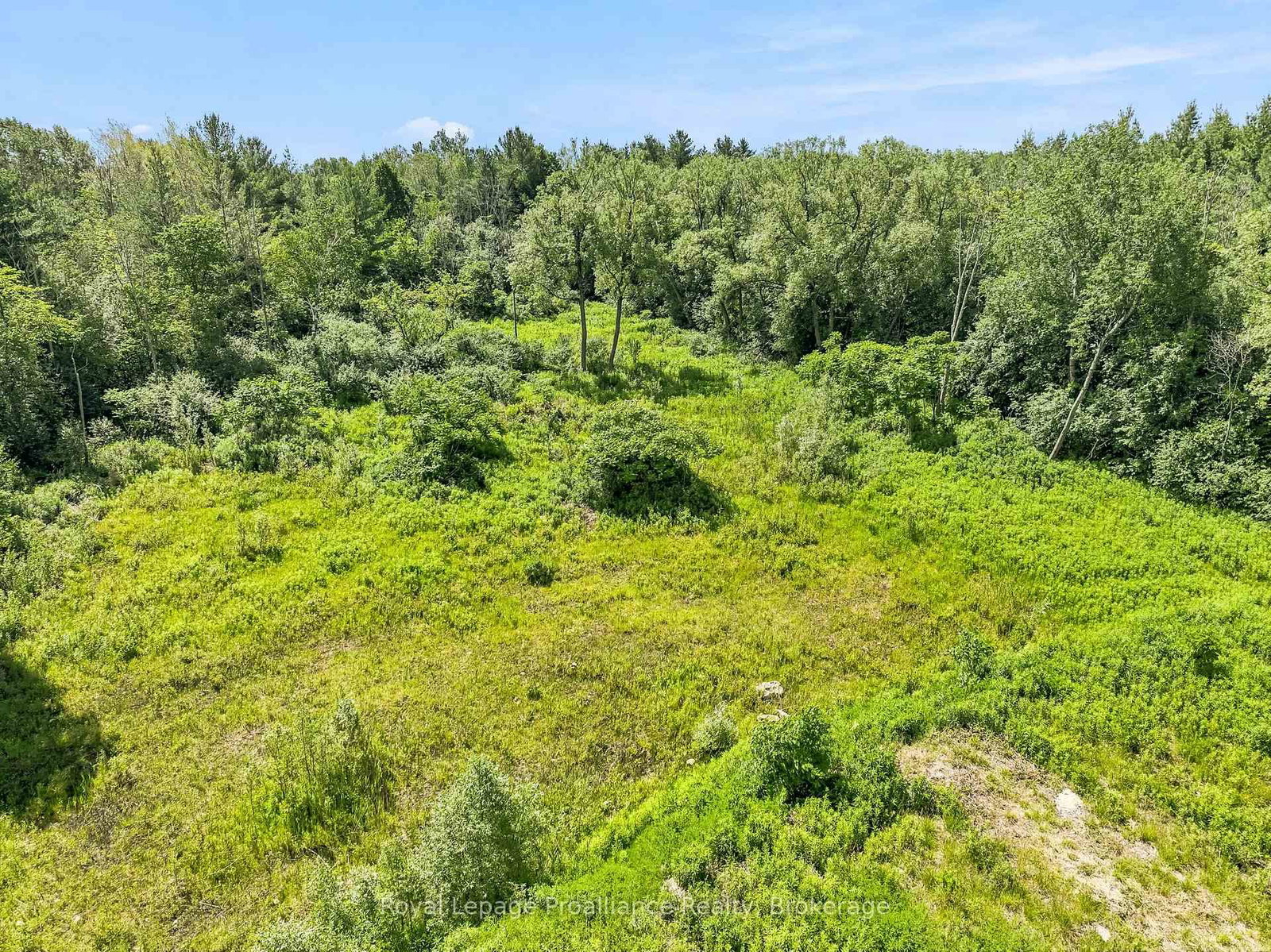 00 Bickle Hill Road • Hamilton Township, ON photo 32