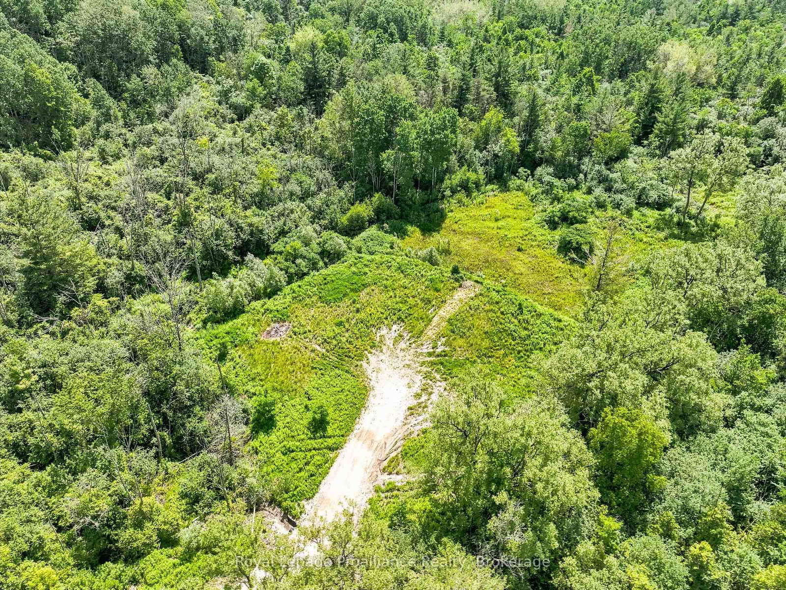 00 Bickle Hill Road • Hamilton Township, ON photo 34