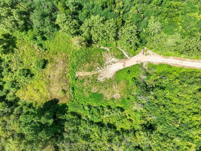 00 Bickle Hill Road • Hamilton Township, ON photo 6