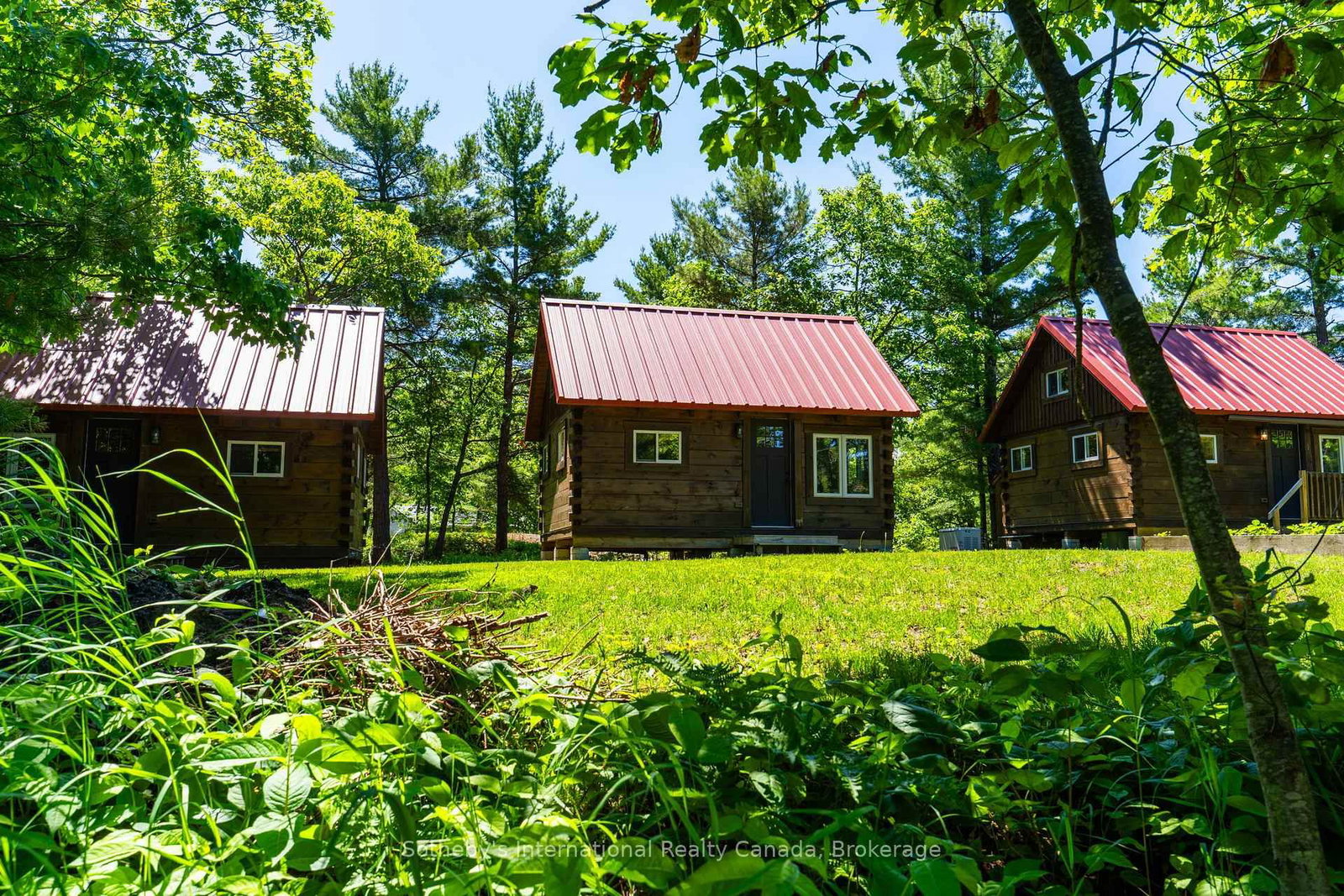 54 Ireland Point Road • Carling, ON photo 38