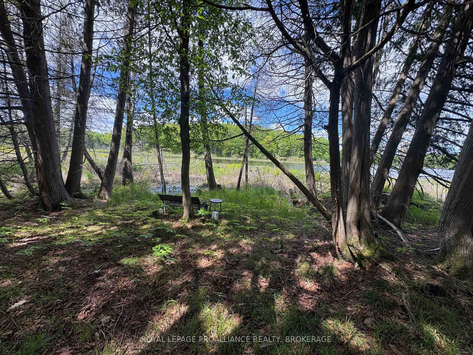 2220 Silver Rock Lane • Hartington, ON photo 13
