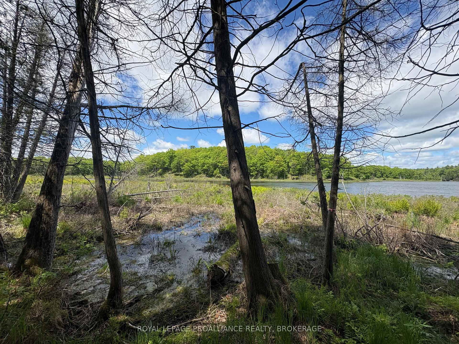 2220 Silver Rock Lane • Hartington, ON photo 14