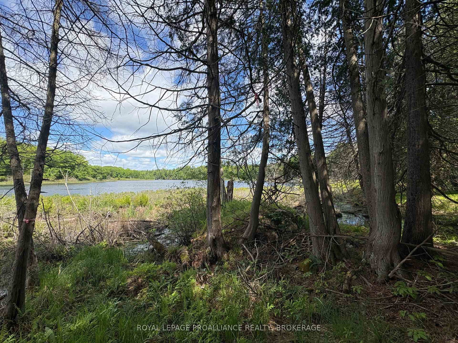 2220 Silver Rock Lane • Hartington, ON photo 15