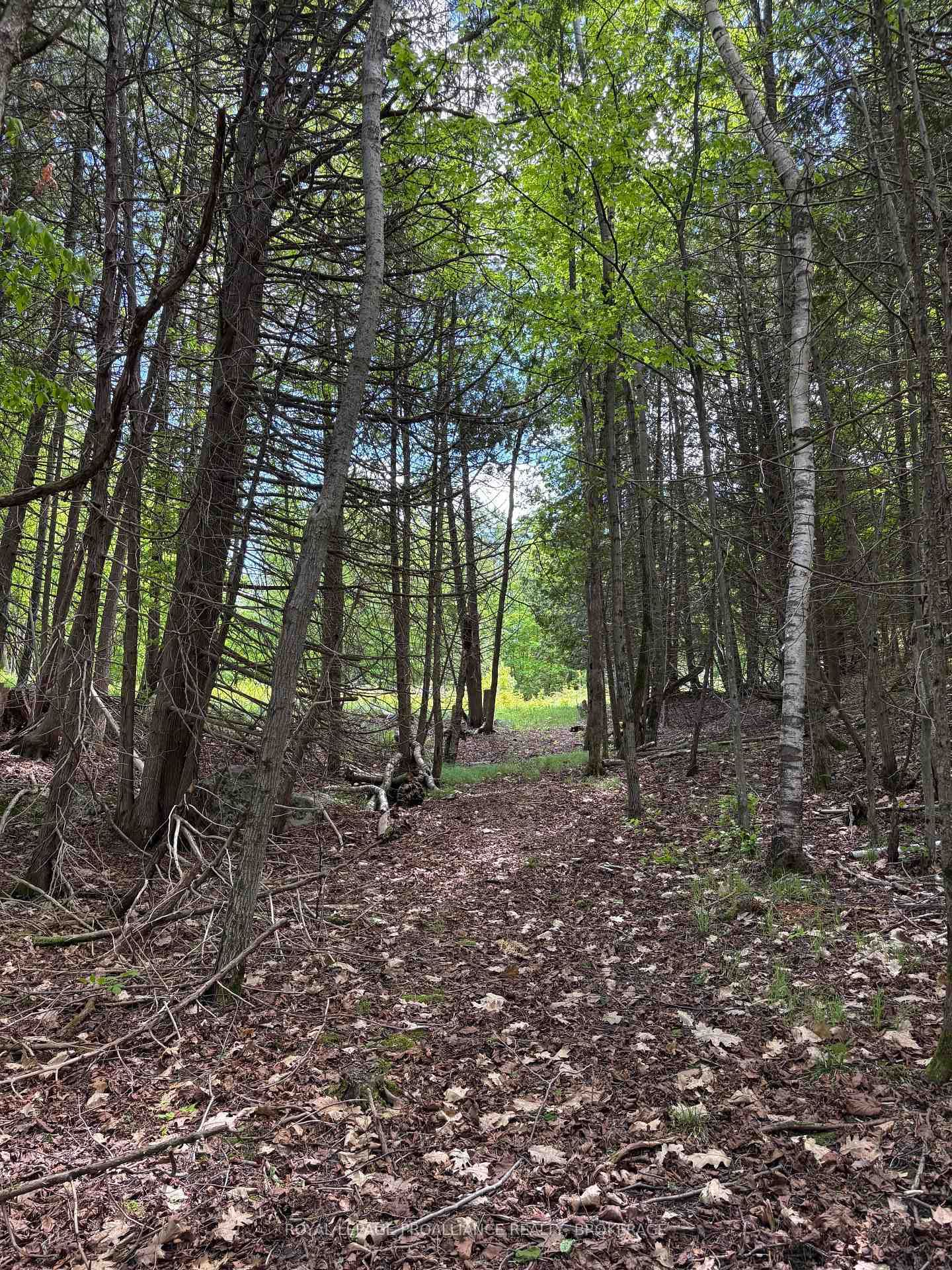 2220 Silver Rock Lane • Hartington, ON photo 17