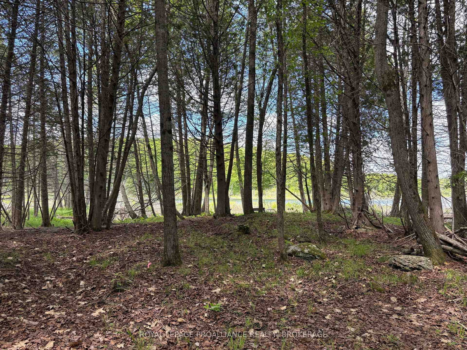 2220 Silver Rock Lane • Hartington, ON photo 18