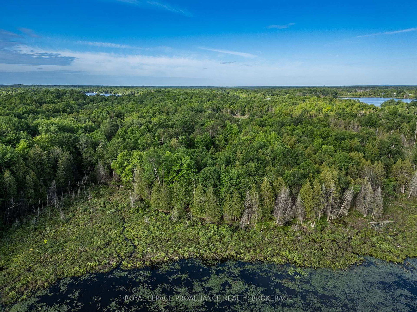 2220 Silver Rock Lane • Hartington, ON photo 27