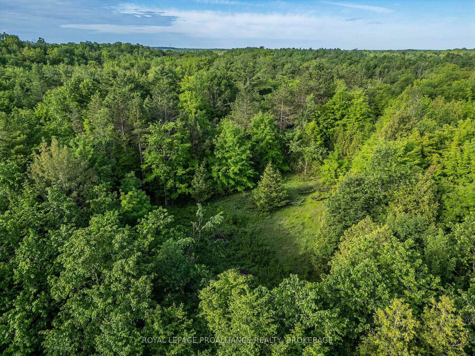 2220 Silver Rock Lane • Hartington, ON photo 36